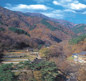 제 1경