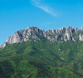 제 5경