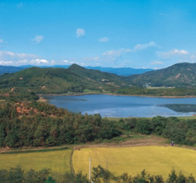 제 7경